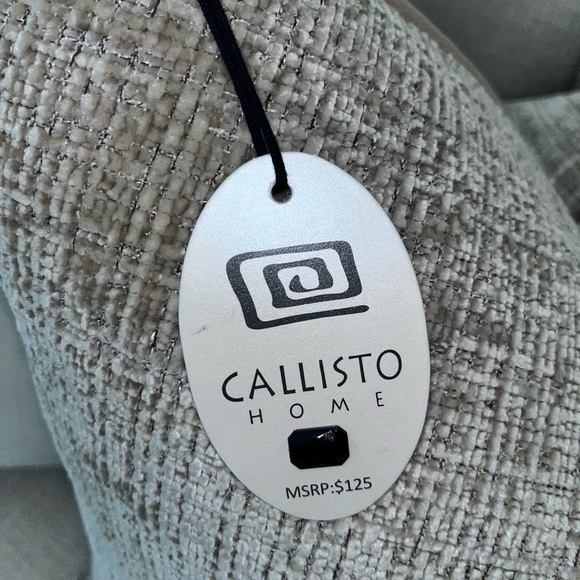 1-NWT CALLISTO HOME VELVET WEAVE DESIGN DECORATIVE
THROW PILLOWS - Picture 16 of 17